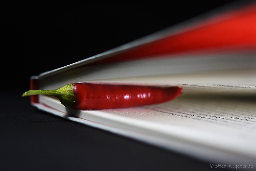 Den Verstand schärfen